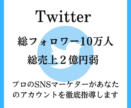 Twitterマーケの専門家がコンサルいたします 総フォロワー10万人、累計売上2億円、法人の運用代行20社 イメージ1