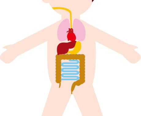 回答だけですぐ診断！あなたの体の臓器のウィークポイントお教えします。 イメージ1