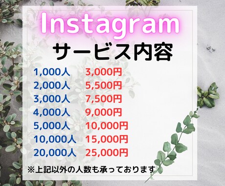 Instagramのフォロワー数を増やします 【期間限定価格】1,000人～・12時間以内に増加開始 イメージ2