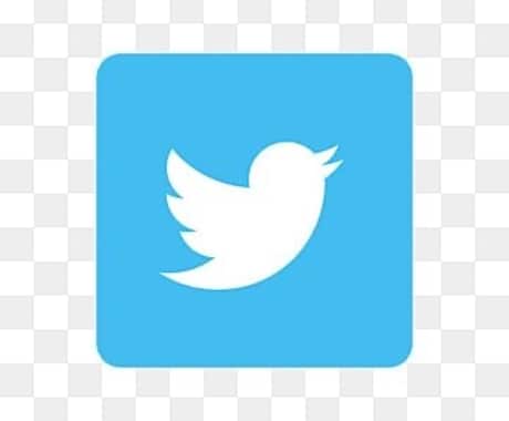 Instagram /Twitter運用代行します アパレル経営者が IG・Twitter運用代行致します。 イメージ2
