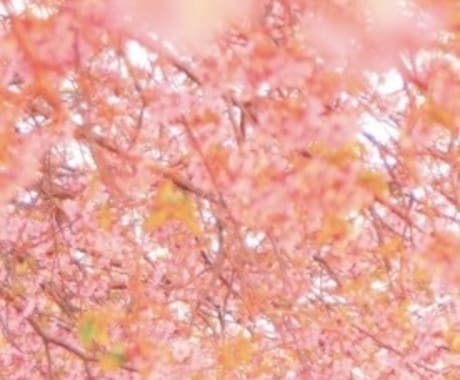 恋愛全般拝見させて頂きます 片思い、復縁、不倫様々な恋愛、前を向けるようにします。 イメージ1