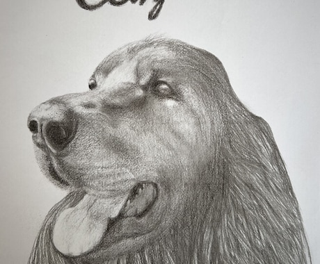 鉛筆でお犬さんを描きます お犬さんの思い出の写真を鉛筆画にいたします。 イメージ1