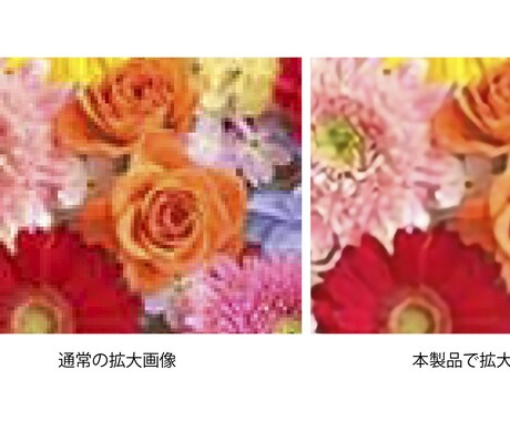 AIで小さな写真を、大きく鮮明にします 切り抜き写真や小さな写真を大きくしませんか？ イメージ2