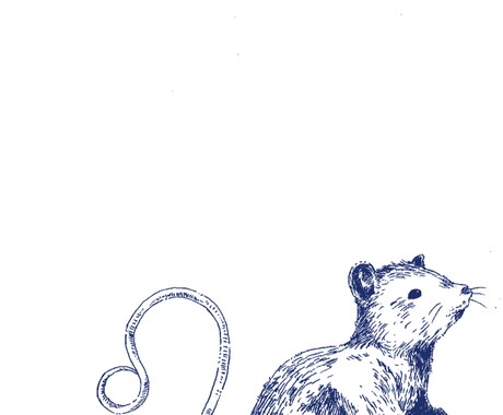 手描き動物イラスト【ペン画】書きます お好きな動物をリアルタッチのお洒落なテイストに仕上げます。 イメージ2