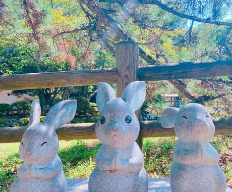 恋愛についてシンプルに占います ※不倫についての占いはいたしません イメージ1