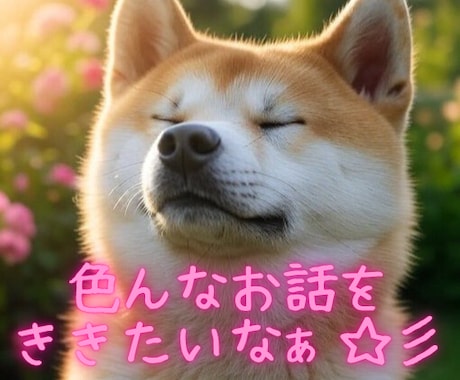 としこの部屋⭐秋田犬があなたのペットになります ⭐看板犬が、雑談・愚痴・恋愛…ご希望のお話をお聴きします⭐ イメージ2
