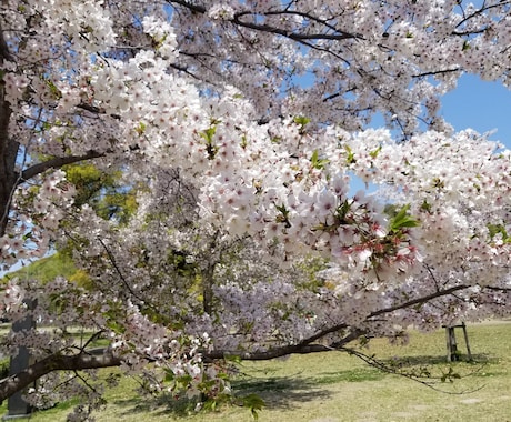 あなた様のどうしようもない怒り受け止めます 誰にも言えない怒りをお話しください。 イメージ1