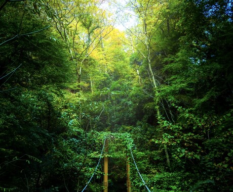 初心者が風景・街 写真素材提供します 低価格でオリジナルと調整済の写真素材を提供！ イメージ2