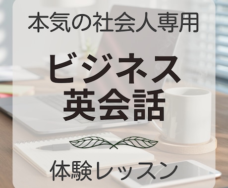 体験レッスン｜ビジネス英語の上達をお手伝いします 指導歴20年のフレンドリーなカナダ人があなたをサポートします イメージ1