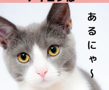 ピンタレストのピンを作ります 月刊閲覧数20万人のアカウントを運営中！ イメージ1