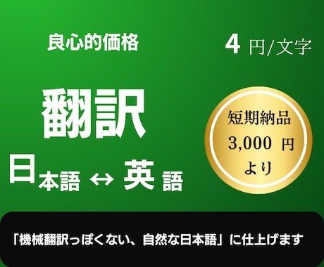 英語→日本語翻訳自然な日本語に仕上げします 【即日納品】ビジネス・カジュアル対応も！ イメージ1