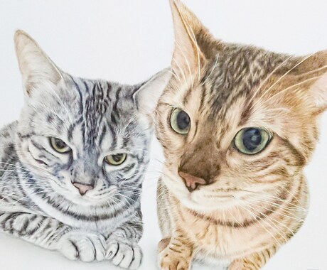 B5サイズ/色鉛筆で絵を描かせて頂きます ふんわりした写真とはまた違う世界観を。。 イメージ1