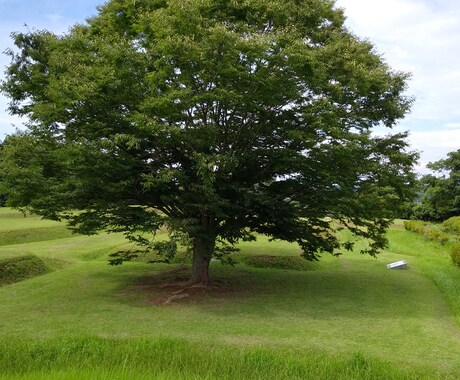 今が生きにくい方、その恋人家族の方、解決を教えます あなたは愛される為に生まれてきた。 イメージ1