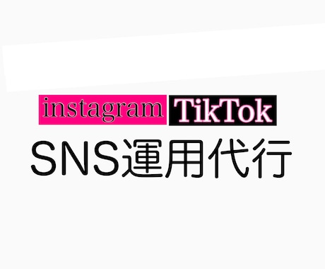 instagram、tiktokの運用代行します 女性チームによるSNS運用代行(1ヶ月) イメージ1