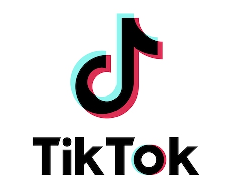 TikTok,Instagramの広告運用承ります TikTok2万4000人集客したノウハウを元に運用致します イメージ1
