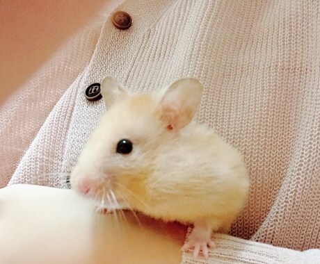 返信の早さに自信あり！あなたのお悩みを聞きます 個性を大切に、一人一人にあった最善策を見つけていきましょう イメージ1