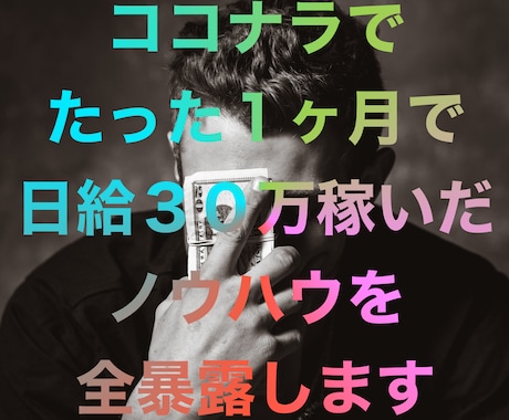 ココナラ１ヶ月で日給30万稼いだ手法を全暴露します たった1日で会社員給料を一発で稼いだノウハウのカラクリを暴露 イメージ1