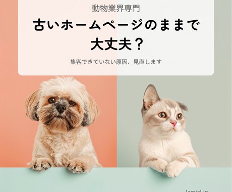 動物業界専門｜集客できるホームページを制作します 猫ホテル運営×動物専門Webディレクターが設計します イメージ2