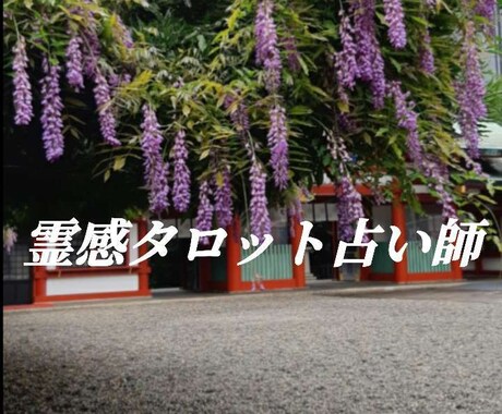 霊感タロット占いをします 四国の神社の“宮司”と青森の“カミサマ”の玄孫 イメージ1