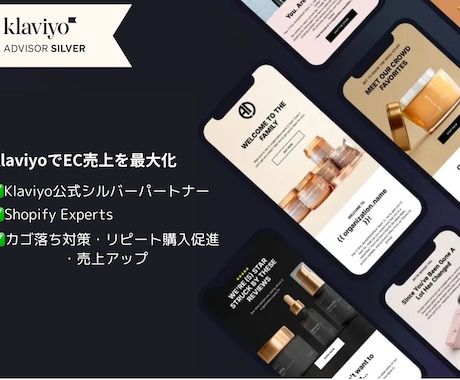 KlaviyoでEC売上を最大化します Klaviyo公式シルバーパートナーがサポート！ イメージ1