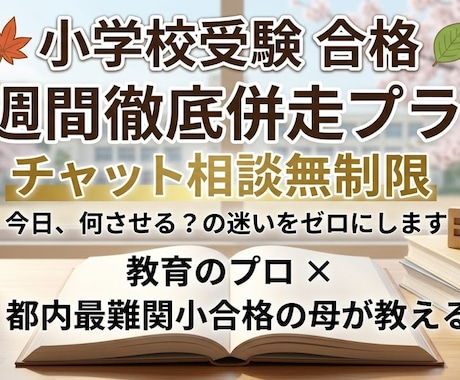 小学校受験！1週間チャット相談にて徹底伴走します 学習の迷いをゼロに！最難関小合格の母が1週間徹底学習サポート イメージ1
