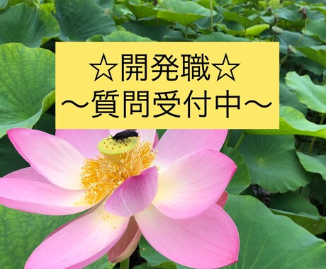 開発職の仕事の魅力伝えます 就活！転職！希望先が開発職の方おいで♪♪ イメージ1