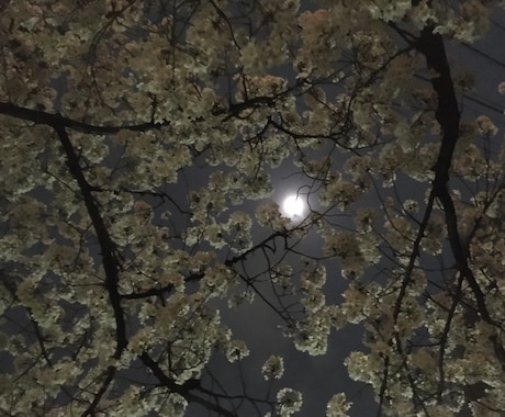 思念伝達いたします ⭐︎想いを伝えて願いの成就を後押し⭐︎ イメージ2