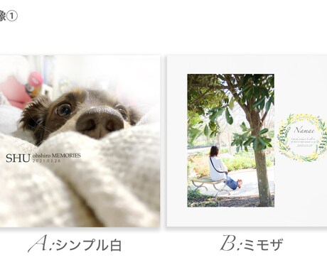 犬好きの方へ！写真アルバム製作します 小さめアルバム！とてもお得にわんちゃんのアルバム制作します♪ イメージ2