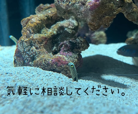 普段人に言えないことや愚痴などをききます 私のポジティブさを活かして少しでも心が軽くならお手伝いします イメージ1