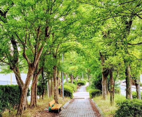 安心できる時間をご提供します 癒しの雰囲気で、心が落ち着く時間を一緒に過ごたい方へ。 イメージ2