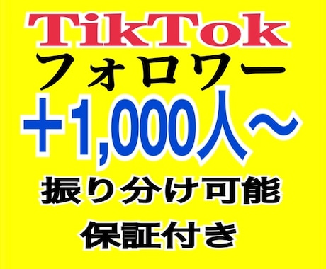 TikTokフォロワー＋1000人以上増やします ティックトック/いいね増加/再生回数/総販売数1,000件 イメージ1