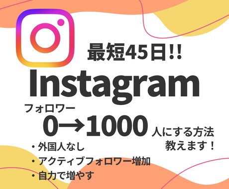 インスタフォロワー0→1000人にする方法教えます 最短45日で達成！閲覧数200万回突破の方法 イメージ1