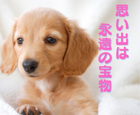 愛しいペット　悲しみが癒えないあなたに寄り添います 辛い、苦しい一人で抱えてきた【深い悲しみ・後悔】受け止めます イメージ1
