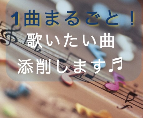 初心者〜中級者向け♪練習したい曲添削します 歌詞に歌のポイントを記入したファイルをお送りします。 イメージ1