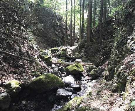 登山、トレイルランに関連記事コンテンツを作成します コース、ギア、大会等、カスタマイズしたコンテンツ記事を作成 イメージ2