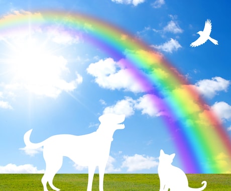 お空に昇ったあの子の気持ちやいる場所をお伝えします あの子はどう思ってる？どこにいるの？ イメージ1