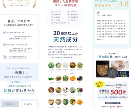 費用で諦めたHP制作、初期費用0円で始められます 月1万円〜のサブスクでプロ品質のホームページ・LPが手に入る イメージ2