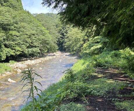 田舎起業！デザイン思考と経験でアイデアを創ります 田舎起業1年で年収1千万円へ。田舎で稼ぐためのノウハウ相談。 イメージ1