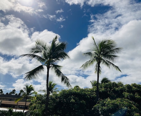 国際恋愛・海外生活のお悩み、やさしく相談にのります ひとりで抱えがちな気持ち、安心して話せる場所です イメージ1