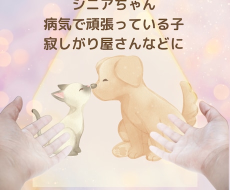 貴方の手が愛犬専属セラピストに。癒しの力、開きます 西洋式臼井レイキを遠隔伝授。ワンちゃんへの施術テキストつき♪ イメージ2