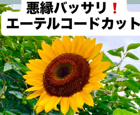 邪魔なしがらみや縁をエーテルコードカットします 貴方に絡みついている不要なしがらみをカットしてスッキリ⭐︎ イメージ1