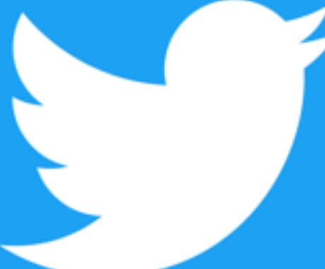 Twitter集客 フォロワー500人増やします なたのTwitterを全世界に拡散し、再生回数を増やします イメージ1