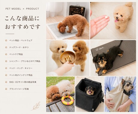 ペット用品の魅力が伝わる動画を撮影します 使用シーンやブランドイメージを映像で表現 イメージ2