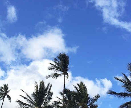 夢のハワイに簡単に住む方法教えます 留学、旅行などハワイに関すること イメージ1