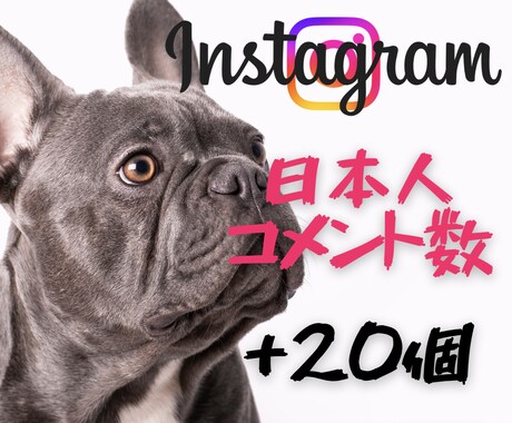 インスタ✨魅力的な日本人コメント付与します あなたの投稿に“共感の声”を届けます✨日本人コメント20件 イメージ1