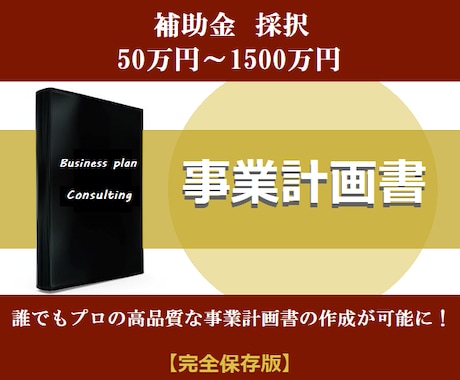 補助金・融資で結果を出す事業計画書が作成できます 【期間限定・数量限定】プロ仕様の事業計画書を実感ください！ イメージ1