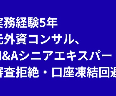 エストニア法人×IBKR×Wise開設を指南します 実務5年 代行業者が教えない地獄の抜け方、海外口座開設の正解 イメージ2