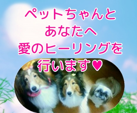 ペットちゃんとあなたへ至福のヒーリングを行います 大人気のペットヒーリングの単発バージョンです イメージ1