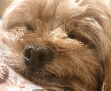 あなたの悩みや、愚痴の全て聞き流します 吐き出して、スッキリしませんか？以上 イメージ1