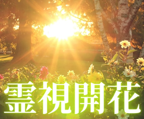 霊視・未来視などサイキックの世界拡張を行います ヒーラーや占い師の方、又は目指されている方に特におすすめです イメージ1